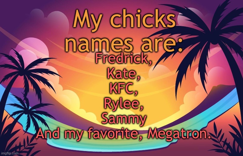 Yes, they are indeed all female. | My chicks names are:; Fredrick,
Kate,
KFC,
Rylee,
Sammy
And my favorite, Megatron. | image tagged in trez summer | made w/ Imgflip meme maker
