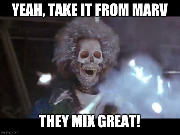 Home alone electric | YEAH, TAKE IT FROM MARV THEY MIX GREAT! | image tagged in home alone electric | made w/ Imgflip meme maker