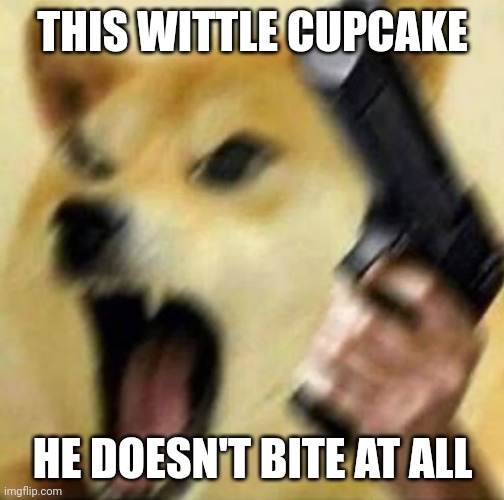 Angry doge with gun | THIS WITTLE CUPCAKE; HE DOESN'T BITE AT ALL | image tagged in angry doge with gun | made w/ Imgflip meme maker