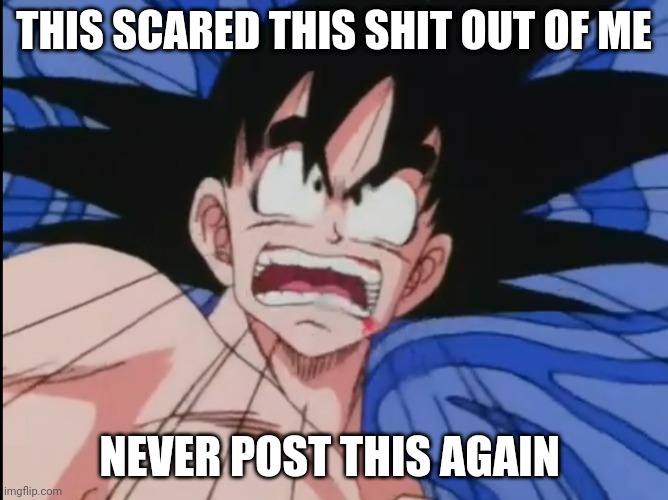 Shocked, Troubled Goku | THIS SCARED THIS SHIT OUT OF ME NEVER POST THIS AGAIN | image tagged in shocked troubled goku | made w/ Imgflip meme maker