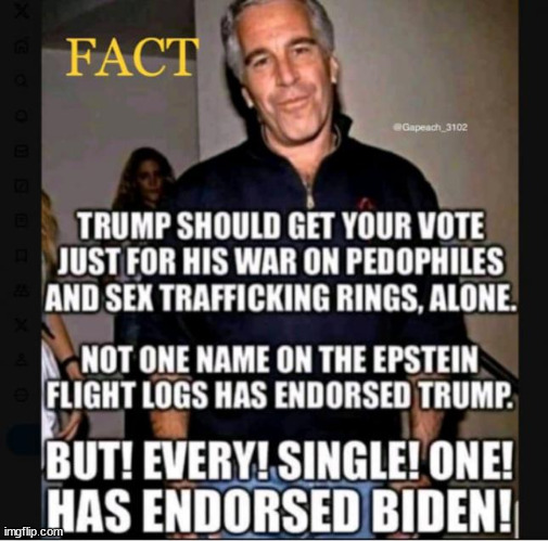 yes... everyone knows which party is covering for pedos... | image tagged in facts,liberals hate them | made w/ Imgflip meme maker