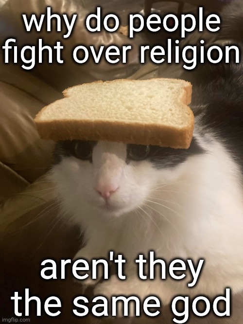 bread cat | why do people fight over religion; aren't they the same god | image tagged in bread cat | made w/ Imgflip meme maker