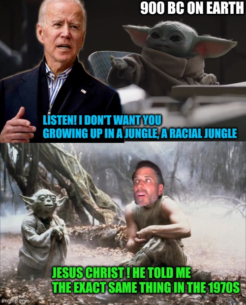 Didn't want him to but like everything he "promises" it comes to nothing | 900 BC ON EARTH; LISTEN! I DON'T WANT YOU GROWING UP IN A JUNGLE, A RACIAL JUNGLE; JESUS CHRIST ! HE TOLD ME THE EXACT SAME THING IN THE 1970S | image tagged in baby yoda wants cookies,yoda luke | made w/ Imgflip meme maker