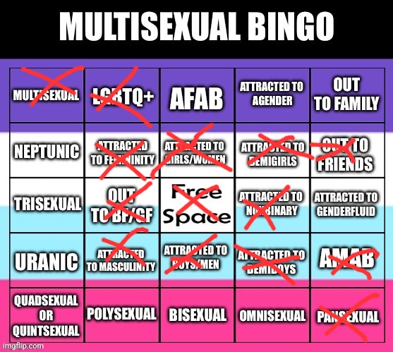 No clue what that right column ment. I looked up multisexual. | image tagged in multisexual bingo | made w/ Imgflip meme maker