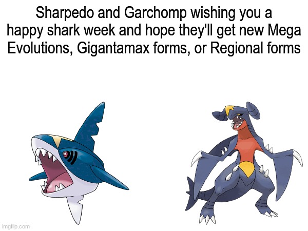 Pokemon during holidays | Sharpedo and Garchomp wishing you a happy shark week and hope they'll get new Mega Evolutions, Gigantamax forms, or Regional forms | image tagged in memes,pokemon,funny,holiday,shark week | made w/ Imgflip meme maker