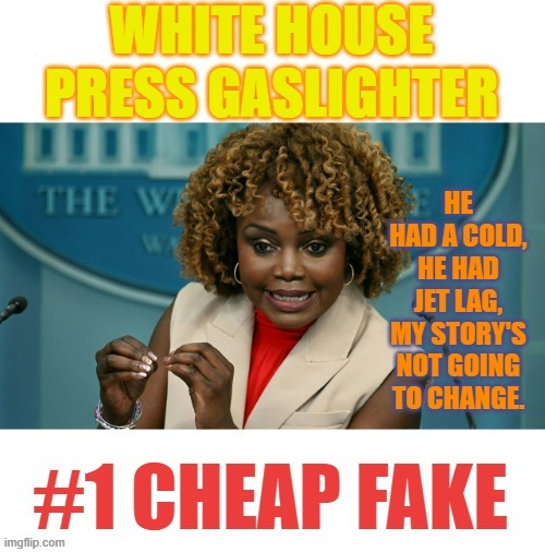 #1 Cheap Fake | image tagged in memes,press secretary,gaslighter,1,cheap,fake | made w/ Imgflip meme maker