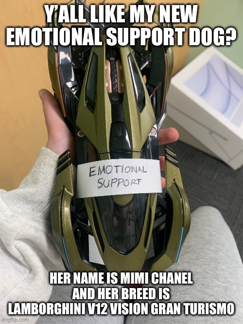 Y’ALL LIKE MY NEW EMOTIONAL SUPPORT DOG? HER NAME IS MIMI CHANEL AND HER BREED IS LAMBORGHINI V12 VISION GRAN TURISMO | made w/ Imgflip meme maker