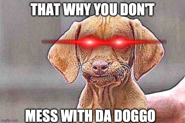 Dissapointed puppy | THAT WHY YOU DON'T MESS WITH DA DOGGO | image tagged in dissapointed puppy | made w/ Imgflip meme maker