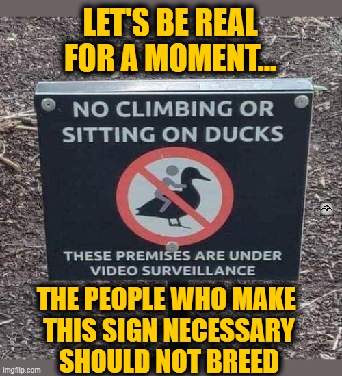 LET'S BE REAL FOR A MOMENT... THE PEOPLE WHO MAKE 
THIS SIGN NECESSARY
SHOULD NOT BREED | image tagged in ducks,sign,warning,stupid | made w/ Imgflip meme maker