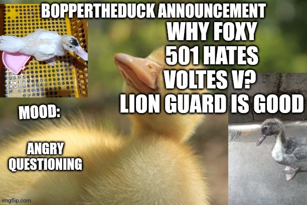 WHY FOXY 501 HATES VOLTES V? 
LION GUARD IS GOOD; ANGRY QUESTIONING | image tagged in boppertheduck announcement | made w/ Imgflip meme maker