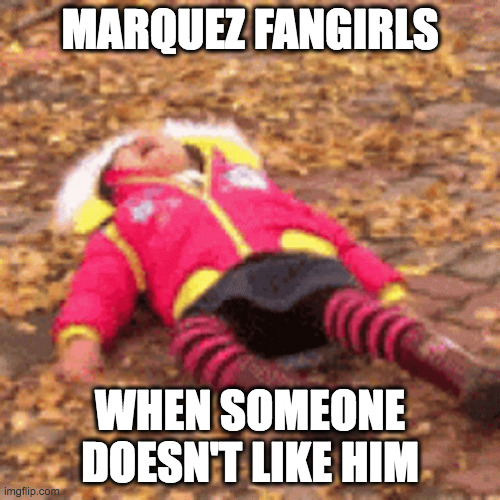 Marquez fangirls | MARQUEZ FANGIRLS; WHEN SOMEONE DOESN'T LIKE HIM | image tagged in tantrum | made w/ Imgflip meme maker