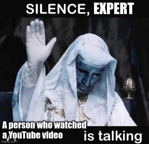 Silence Expert! | EXPERT; A person who watched
a YouTube video | image tagged in silence x a y is talking | made w/ Imgflip meme maker