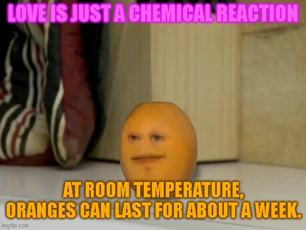 ORANGE | LOVE IS JUST A CHEMICAL REACTION; AT ROOM TEMPERATURE, ORANGES CAN LAST FOR ABOUT A WEEK. | image tagged in funny | made w/ Imgflip meme maker