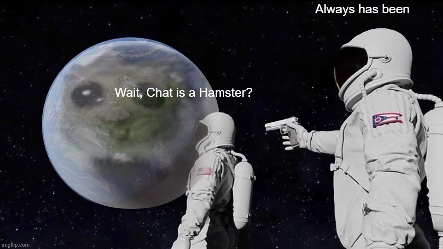Hampter | Always has been; Wait, Chat is a Hamster? | image tagged in memes,always has been | made w/ Imgflip meme maker