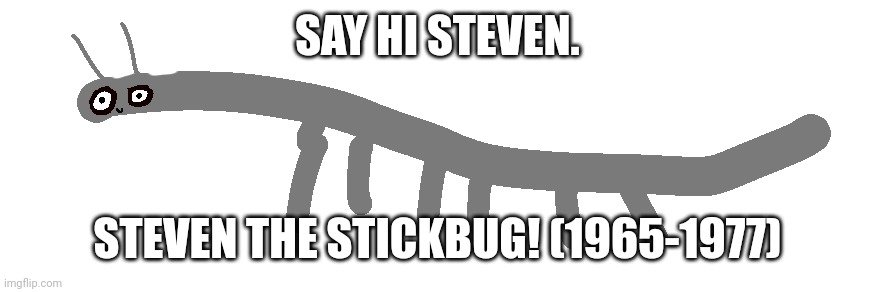 steven | SAY HI STEVEN. STEVEN THE STICKBUG! (1965-1977) | image tagged in steven | made w/ Imgflip meme maker