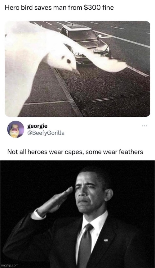 Hero | image tagged in obama-salute,hero,bird,speed,this is not fine | made w/ Imgflip meme maker