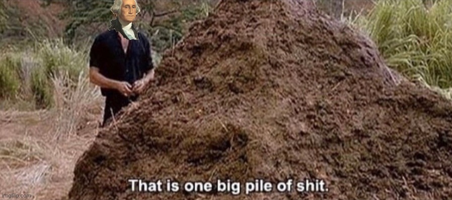 That is one big pile of shit | image tagged in that is one big pile of shit | made w/ Imgflip meme maker