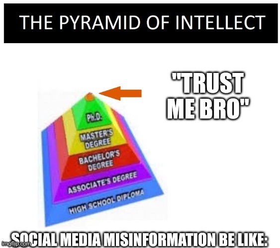 image tagged in pyramid,social media,trust | made w/ Imgflip meme maker