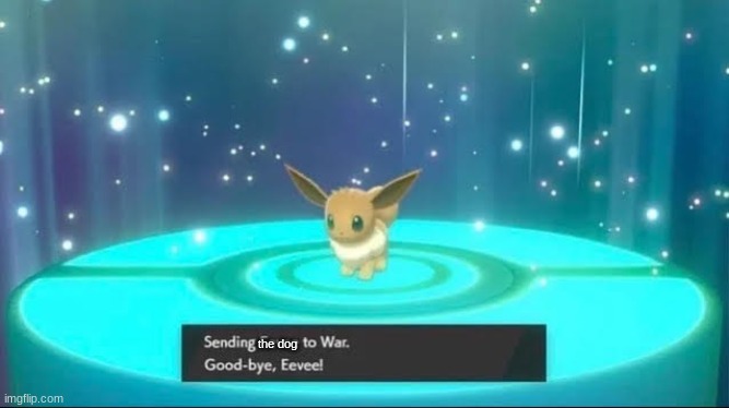 sending eevee to war | the dog | image tagged in sending eevee to war | made w/ Imgflip meme maker