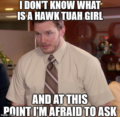 Hawk what? | I DON'T KNOW WHAT IS A HAWK TUAH GIRL; AND AT THIS POINT I'M AFRAID TO ASK | image tagged in memes,afraid to ask andy,girl,hawk | made w/ Imgflip meme maker
