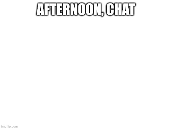 AFTERNOON, CHAT | made w/ Imgflip meme maker