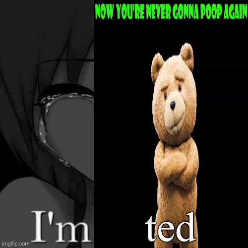 im ted 2 | ted | image tagged in im ted 2 | made w/ Imgflip meme maker