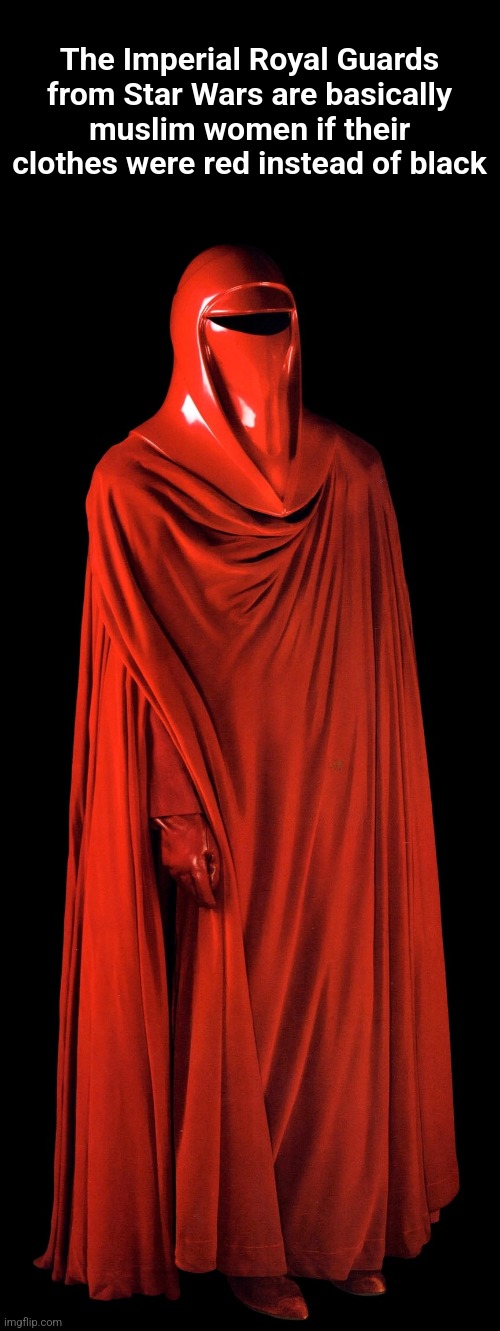 The Imperial Royal Guards from Star Wars are basically muslim women if their clothes were red instead of black | made w/ Imgflip meme maker