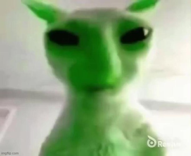 goofy ahh alien cat | image tagged in goofy ahh alien cat | made w/ Imgflip meme maker