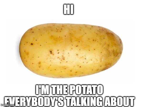 If you were wondering | HI; I'M THE POTATO EVERYBODY'S TALKING ABOUT | image tagged in potato,hello | made w/ Imgflip meme maker