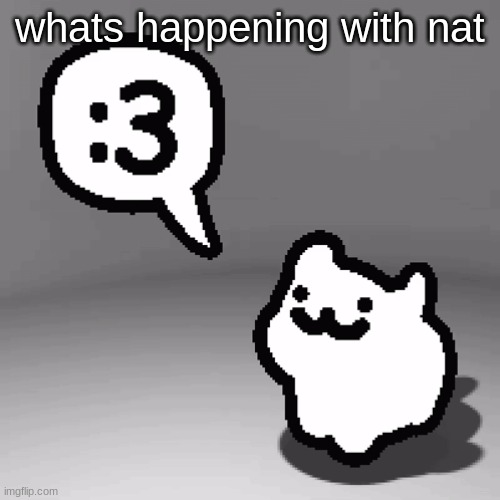 :3 cat | whats happening with nat | image tagged in 3 cat | made w/ Imgflip meme maker