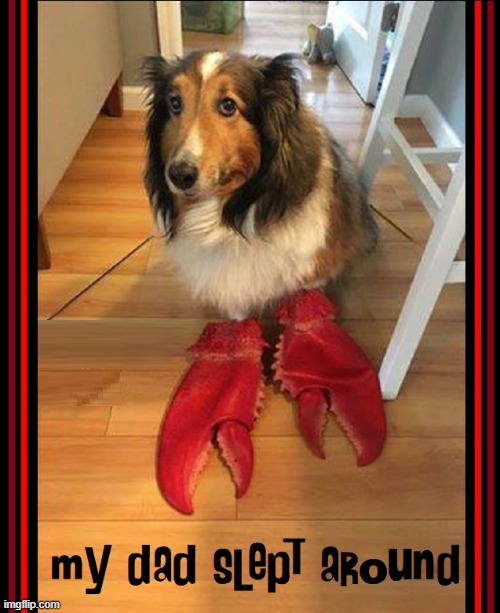 "Lassie, help! I've fallen into a pot on the stove." | image tagged in vince vance,lobsters,claws,collie,lassie,memes | made w/ Imgflip meme maker