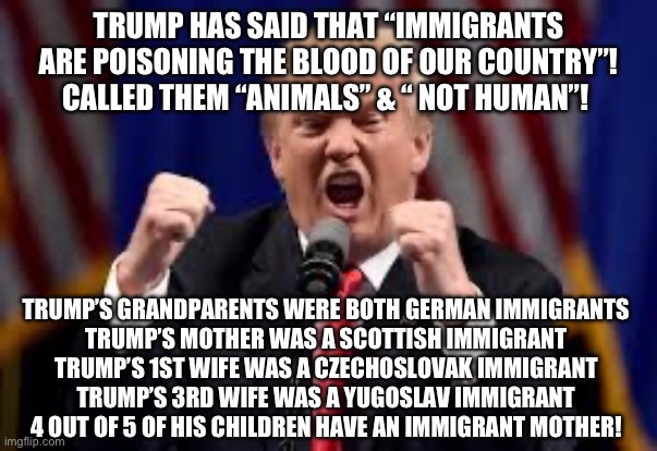 TRUMP HAS SAID THAT “IMMIGRANTS ARE POISONING THE BLOOD OF OUR COUNTRY”! CALLED THEM “ANIMALS” & “ NOT HUMAN”! TRUMP’S GRANDPARENTS WERE BOTH GERMAN IMMIGRANTS 
TRUMP’S MOTHER WAS A SCOTTISH IMMIGRANT 
TRUMP’S 1ST WIFE WAS A CZECHOSLOVAK IMMIGRANT 
TRUMP’S 3RD WIFE WAS A YUGOSLAV IMMIGRANT 
4 OUT OF 5 OF HIS CHILDREN HAVE AN IMMIGRANT MOTHER! | made w/ Imgflip meme maker