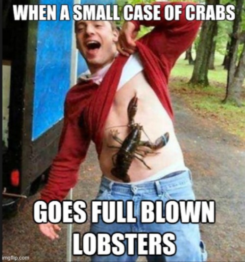 That Lobster is Pinching his Nipple (and he appears to like it) | image tagged in vince vance,crabs,lobsters,nipple,memes,funny | made w/ Imgflip meme maker