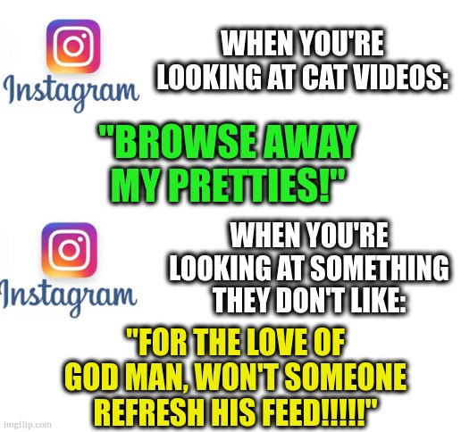 Instagram feed | WHEN YOU'RE LOOKING AT CAT VIDEOS:; "BROWSE AWAY MY PRETTIES!"; WHEN YOU'RE LOOKING AT SOMETHING THEY DON'T LIKE:; "FOR THE LOVE OF GOD MAN, WON'T SOMEONE REFRESH HIS FEED!!!!!" | image tagged in blank white template | made w/ Imgflip meme maker