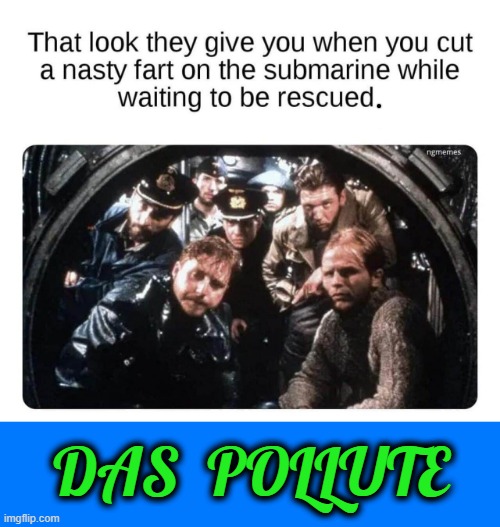 Foul air ! | DAS  POLLUTE | image tagged in subnautica | made w/ Imgflip meme maker