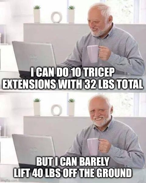 average arm day be like | I CAN DO 10 TRICEP EXTENSIONS WITH 32 LBS TOTAL; BUT I CAN BARELY LIFT 40 LBS OFF THE GROUND | image tagged in memes,hide the pain harold | made w/ Imgflip meme maker