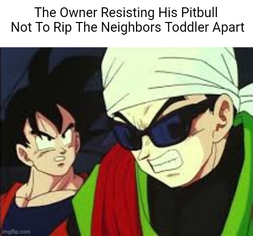 No stop it just calm down. | The Owner Resisting His Pitbull  Not To Rip The Neighbors Toddler Apart | image tagged in no stop it just calm down | made w/ Imgflip meme maker