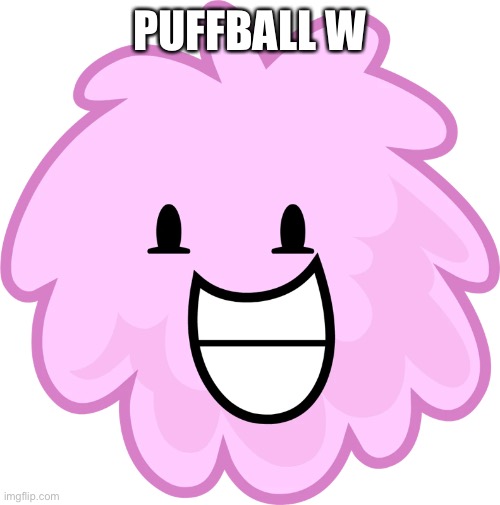Puffball | PUFFBALL W | image tagged in puffball | made w/ Imgflip meme maker