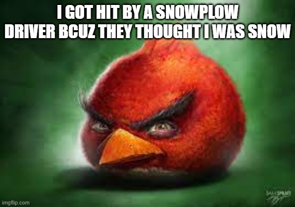Realistic Red Angry Birds | I GOT HIT BY A SNOWPLOW DRIVER BCUZ THEY THOUGHT I WAS SNOW | image tagged in realistic red angry birds | made w/ Imgflip meme maker