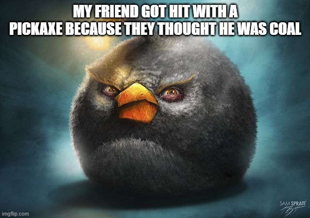 angry birds bomb | MY FRIEND GOT HIT WITH A PICKAXE BECAUSE THEY THOUGHT HE WAS COAL | image tagged in angry birds bomb | made w/ Imgflip meme maker