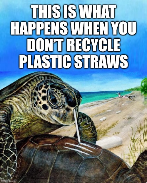 Turtles Doing Coke Lines Because You Don't Recycle | THIS IS WHAT
HAPPENS WHEN YOU
DON’T RECYCLE
PLASTIC STRAWS | image tagged in turtles,cole lines,recycle,greta thunberg,you don't recycle,plastic straws | made w/ Imgflip meme maker