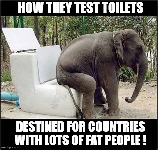 The Elephant Stress Test ! | HOW THEY TEST TOILETS; DESTINED FOR COUNTRIES WITH LOTS OF FAT PEOPLE ! | image tagged in elephants,test,toilets,obese,dark humour | made w/ Imgflip meme maker