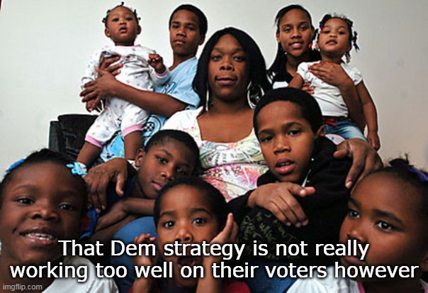 That Dem strategy is not really working too well on their voters however | made w/ Imgflip meme maker