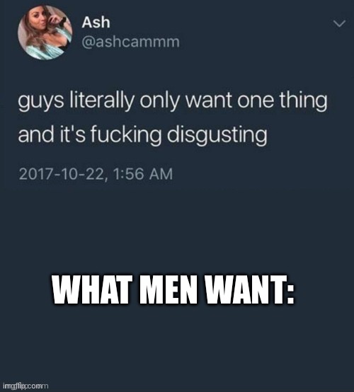 Guys literally only want one thing... | WHAT MEN WANT: | image tagged in guys literally only want one thing | made w/ Imgflip meme maker