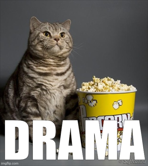 Cat eating popcorn | DRAMA | image tagged in cat eating popcorn | made w/ Imgflip meme maker