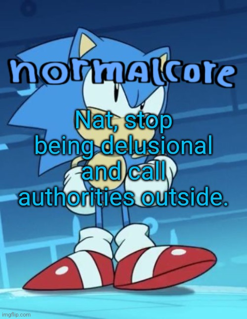 Random sonic template | Nat, stop being delusional and call authorities outside. | image tagged in random sonic template | made w/ Imgflip meme maker