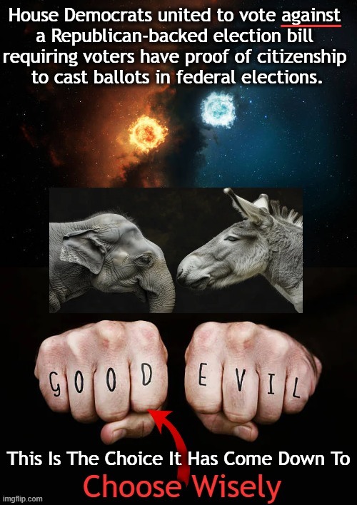 “Those who oppose this are traitors." -- Elon Musk | image tagged in politics,election fraud,right vs wrong,illegal voting,liberals vs conservatives,voting | made w/ Imgflip meme maker