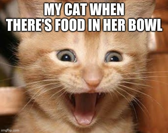 Excited Cat Meme | MY CAT WHEN THERE'S FOOD IN HER BOWL | image tagged in memes,excited cat | made w/ Imgflip meme maker