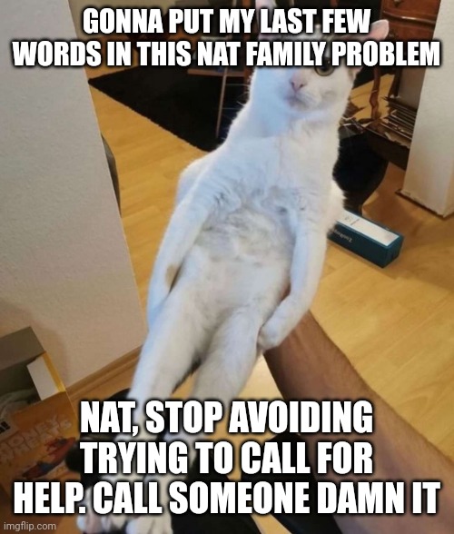 gonna continue posting whatever now | GONNA PUT MY LAST FEW WORDS IN THIS NAT FAMILY PROBLEM; NAT, STOP AVOIDING TRYING TO CALL FOR HELP. CALL SOMEONE DAMN IT | image tagged in this car think he a chicken | made w/ Imgflip meme maker