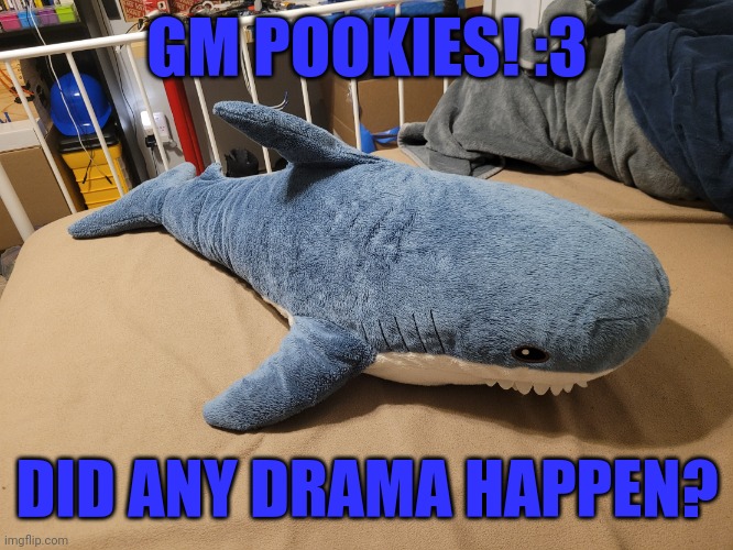 My blahaj | GM POOKIES! :3; DID ANY DRAMA HAPPEN? | image tagged in my blahaj | made w/ Imgflip meme maker